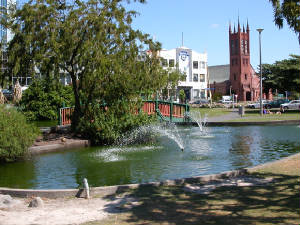 palmy.jpg